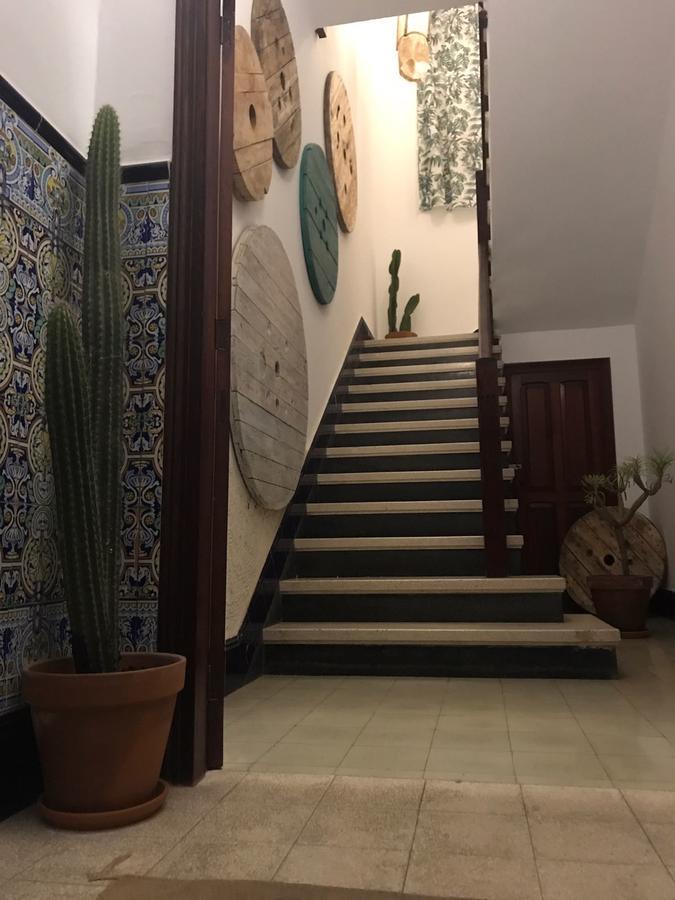 ラスパルマス・デ・グランカナリア Cactus Hostホステル エクステリア 写真